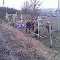 foto (3)